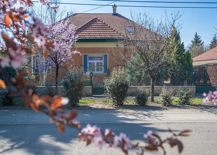 Vila Giovanni's Airport House Budapešť
